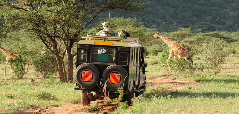 Safari in Kenya.